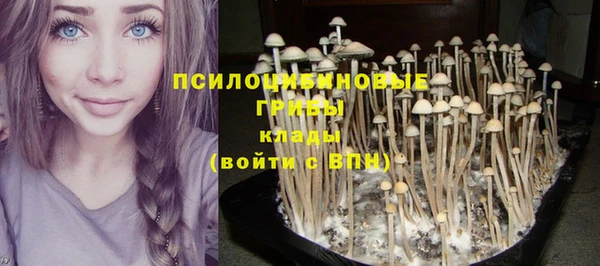 ГАЛЛЮЦИНОГЕННЫЕ ГРИБЫ Лихославль