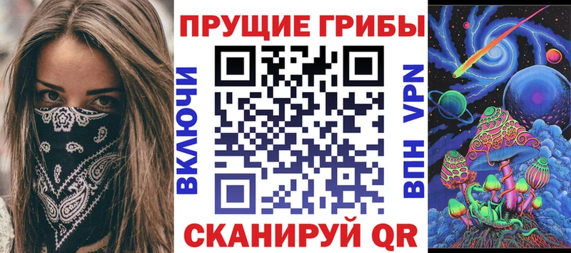 как найти наркотики  Мамадыш  Галлюциногенные грибы Psilocybine cubensis 